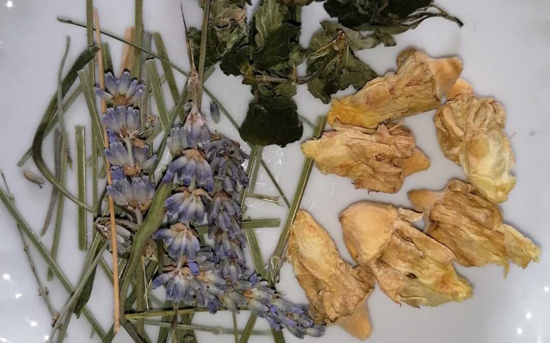 Tisana di Calendula, Nopal, Menta