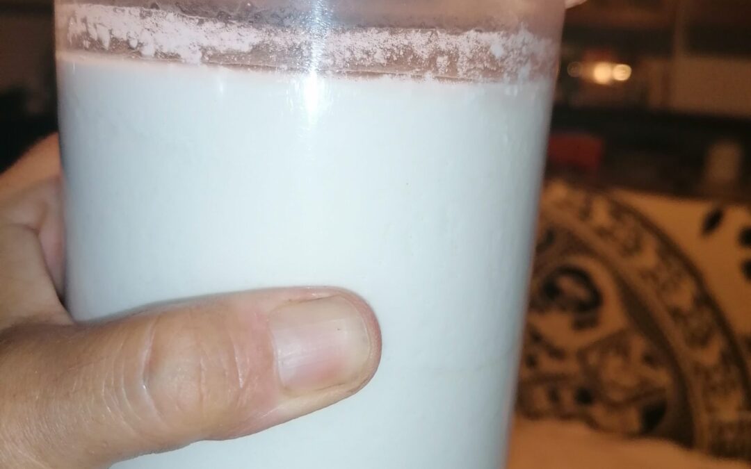 Yogurt bianco con yogurtiera