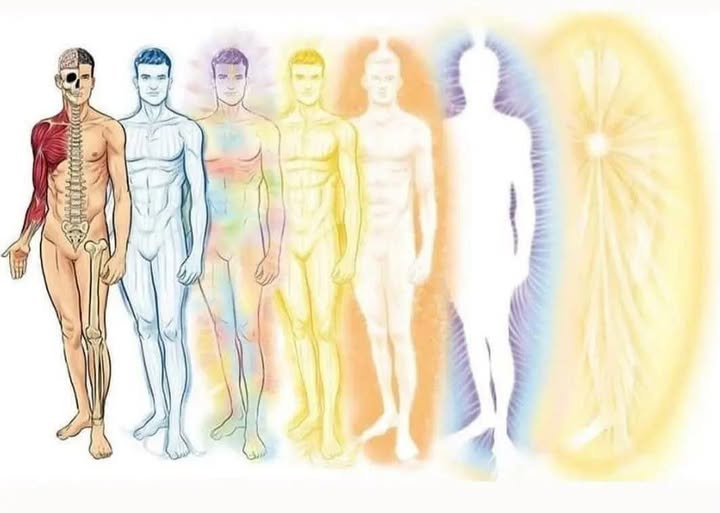 I sette strati del corpo aurico